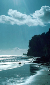 Photo of Santa Cruz Coastline
